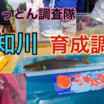 ［鮎釣り］育成調査と言う試し釣り。