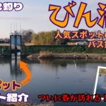 【埼玉バス釣り】春の富士見市のびん沼でバス釣り！人気スポットはやはり今日も先客がいるので、その対岸でやってみたらアタリ多くてけっこう良い釣りができました！ 春はミノーが炸裂か!?【ポイント紹介】
