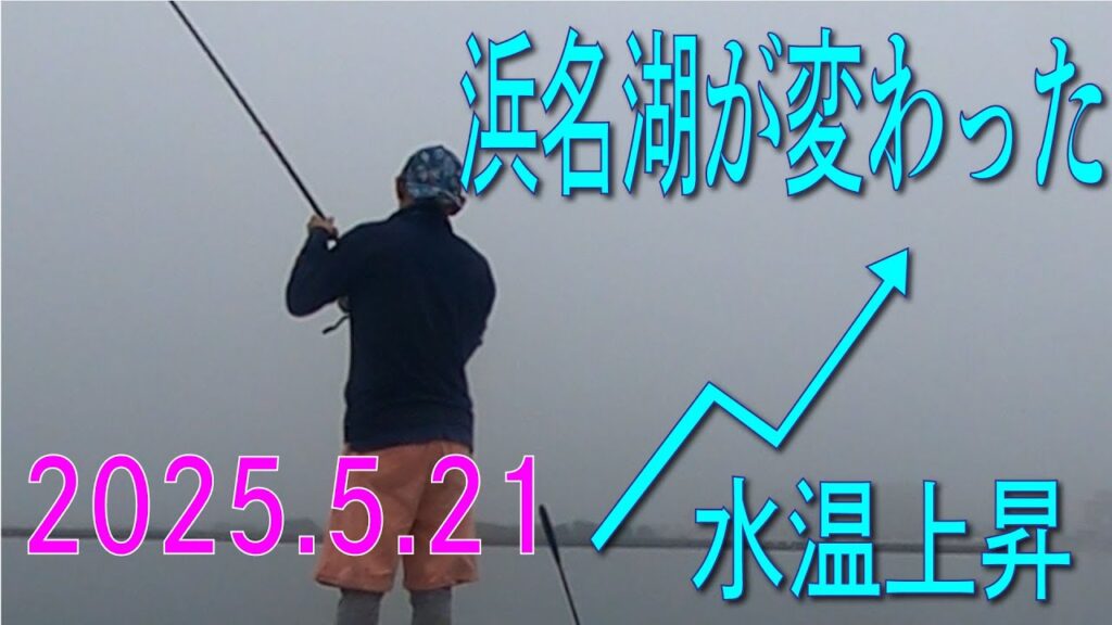 浜名湖での釣り物が増える　海が変わったよ。昨日迄とは違います。水温上昇で夏の海になったんじゃない