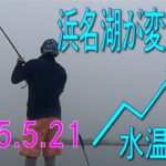 浜名湖での釣り物が増える　海が変わったよ。昨日迄とは違います。水温上昇で夏の海になったんじゃない