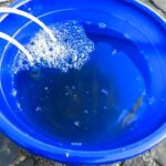 南浜名湖の釣り　小アジ　小サバ　カタクチイワシ