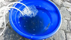 南浜名湖の釣り 小アジ 小サバ カタクチイワシ