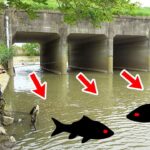 魚が入ってくる水路にルアーを投げると１投目で・・・！？