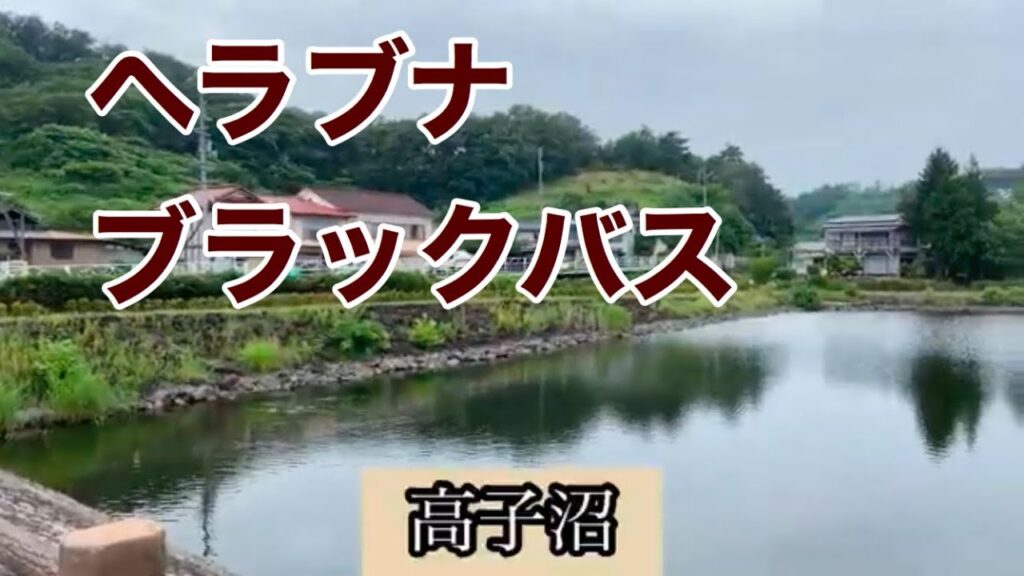 お出かけスポット【釣り】高子沼　ヘラブナ　バス釣り