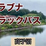 お出かけスポット【釣り】高子沼　ヘラブナ　バス釣り