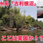 【バス釣り】利根川水系の沼でウキタヌキ。