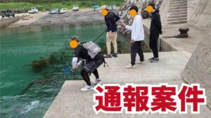 通報される!?漁港でまさかの記録級巨大魚!衝撃の釣れ方に騒然