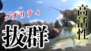 【管理釣り場】【エリアトラウト】今年初のエリアトラウトは岩姫フィッシングで美鱒連発!