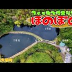 【フィッシングエリアほのぼの】この管理釣り場がとにかく素晴らしかった！凄くおススメできるエリアです！福島県のオススメ管理釣り場(エリアトラウト）