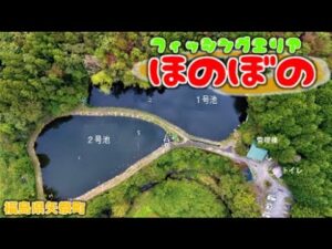 【フィッシングエリアほのぼの】この管理釣り場がとにかく素晴らしかった!凄くおススメできるエリアです!福島県のオススメ管理釣り場(エリアトラウト)