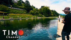 【足柄キャスティングエリア】真夏日の管理釣り場でブランドマスを狙う！釣果に苦しみ冷汗ダラダラルアーエリアトラウト