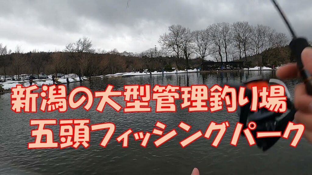 新潟県の大型管理釣り場「五頭フィッシングパーク」【エリアトラウト】