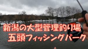 新潟県の大型管理釣り場「五頭フィッシングパーク」【エリアトラウト】
