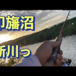 印旛沼 新川 バス釣り おかっぱり