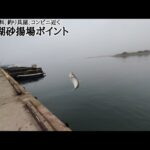 【浜名湖釣り】🎣お手軽投げサビキ釣りが楽しめる浜名湖砂揚場ポイントの現在🐟