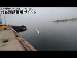 【浜名湖釣り】🎣お手軽投げサビキ釣りが楽しめる浜名湖砂揚場ポイントの現在🐟