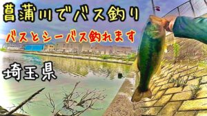 菖蒲川でバス釣り(埼玉県)