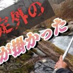【渓流釣り】【餌釣り】狭い川で想定外の大型魚が掛かった。