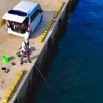 【穴場】大物が次々と回遊してくる漁港がアホみたいに釣れる。。