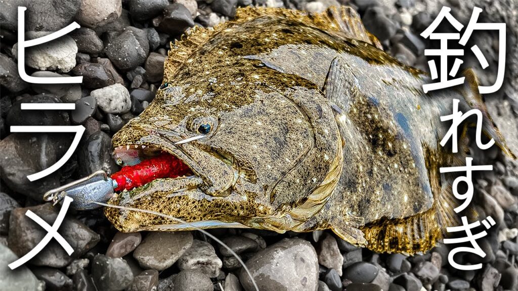 やっぱり、このワームはすごかった、、、【ヒラメ釣り】
