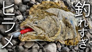 やっぱり、このワームはすごかった、、、【ヒラメ釣り】