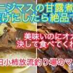 オカンは食べてくれないが管理釣り場のマスの甘露煮を茶漬けにしたら美味すぎた‼️