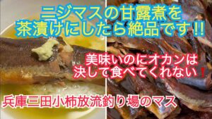 オカンは食べてくれないが管理釣り場のマスの甘露煮を茶漬けにしたら美味すぎた‼️