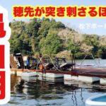 竿先が突き刺さるほど豪快！桟橋横付けボートから狙う亀山湖のへらぶな 亀山ダムの魅力