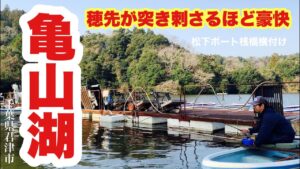 竿先が突き刺さるほど豪快！桟橋横付けボートから狙う亀山湖のへらぶな 亀山ダムの魅力