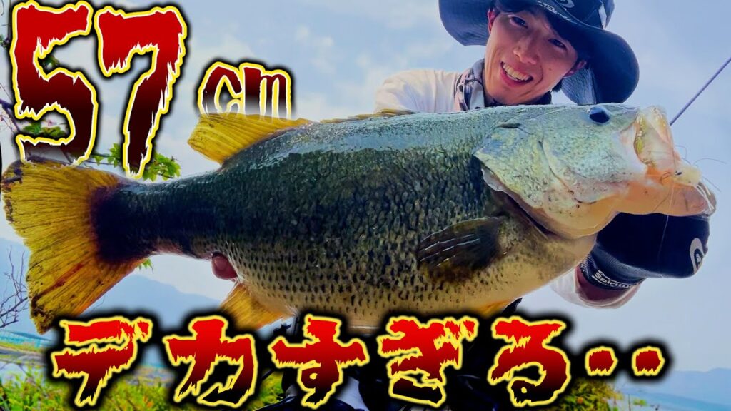 バケモノ釣れました…【バス釣り】#バス釣り #五三川