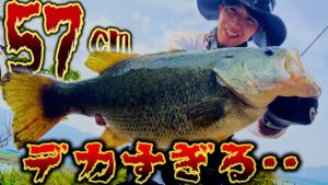 バケモノ釣れました…【バス釣り】#バス釣り #五三川