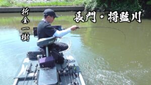 増水、代掻き、プレッシャーの難しいタイミングの長門・将監川バス釣り攻略【折金一樹】