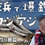 横浜 本牧海釣り施設で爆釣