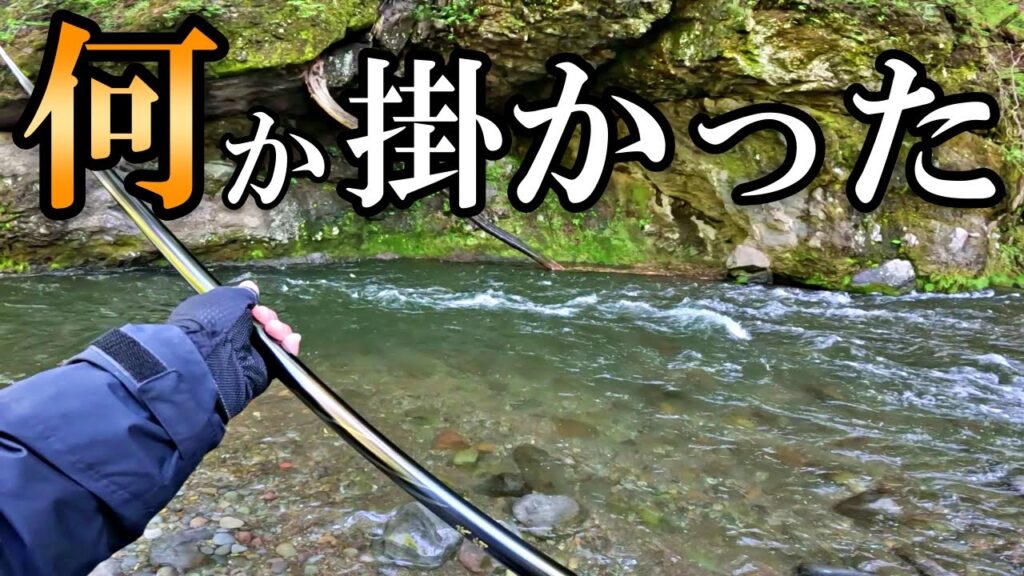 本流が大増水のため支流で渓流釣りをしてみると…