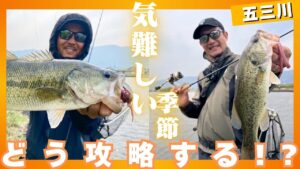 気難しい春の五三川攻略‼︎【ルアー合衆国】