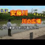川島町の安藤川での釣りはこれからの季節がエキサイティング！川の広場の最新状況と楽しい釣りの様子もお届け♪
