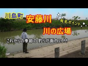 川島町の安藤川での釣りはこれからの季節がエキサイティング！川の広場の最新状況と楽しい釣りの様子もお届け♪