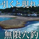 潮が引くと現れる謎の遺跡で穴釣りをしてみると高級魚が入れ食いに…