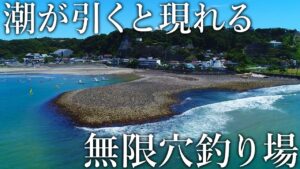 潮が引くと現れる謎の遺跡で穴釣りをしてみると高級魚が入れ食いに…