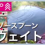 どうなの❓ダイソースプーンの新ウェイトを試す【エリアトラウト】【管理釣り場】【裾野フィッシングパーク】【すそのフィッシングパーク】