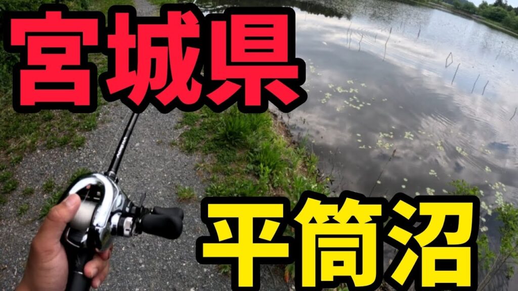 【宮城県バス釣り】平筒沼でデカバス狙ってみた。#バス釣り #宮城県 #平筒沼