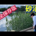 砂沼 必勝法！！！ バス釣り おかっぱり