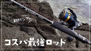 色々なルアーフィッシングに使えるコスパ最強のロッド！【シーバス・ショアジギ・ショアラバ・ロックフィッシュ・タチウオ】
