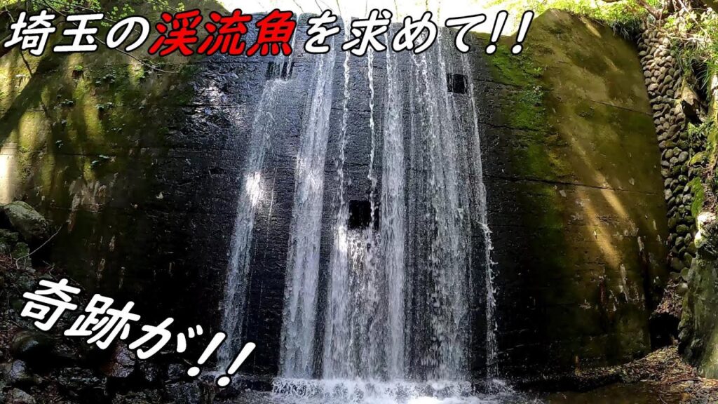 渓流初心者が奇跡を起こす！！この魚が釣りたかった！！