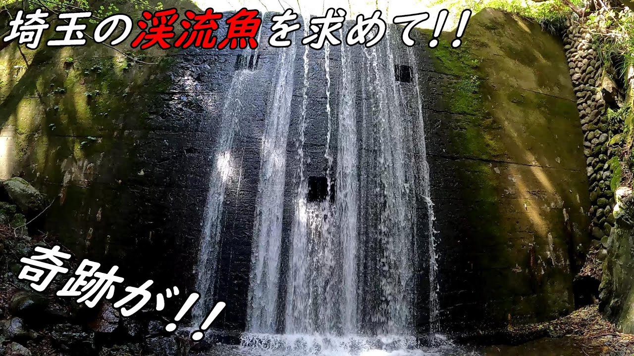 渓流初心者が奇跡を起こす!!この魚が釣りたかった!!