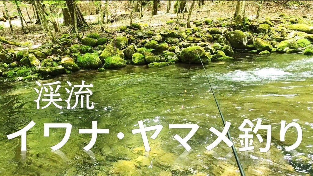 渓流イワナ･ヤマメ釣り　【エサ釣り】