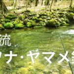 渓流イワナ･ヤマメ釣り　【エサ釣り】