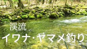 渓流イワナ･ヤマメ釣り　【エサ釣り】