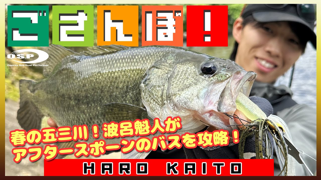 【ごさんぽ!】春の五三川!波呂魁人がアフタースポーンのバスを攻略!【波呂魁人】