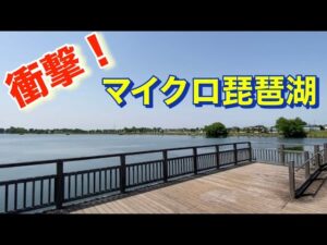 [柴山沼] ４週目に本物のフィッシュイーターを見た! おかっぱり バス釣り